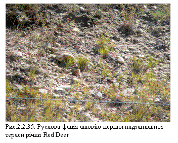 : 
.2.2.35.        Red Deer
