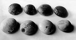  ()  ,    .  - IV.      -.